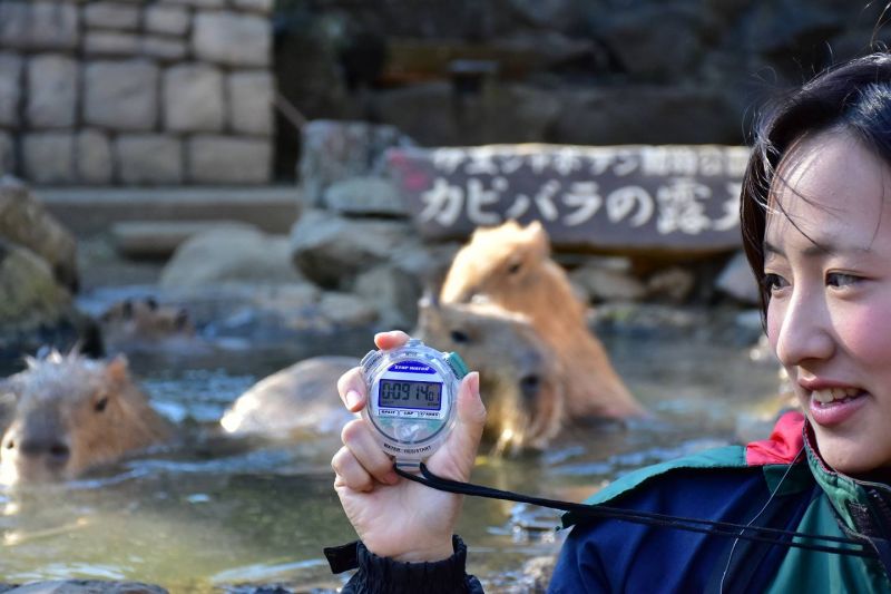 capybara onsen capybara onsen